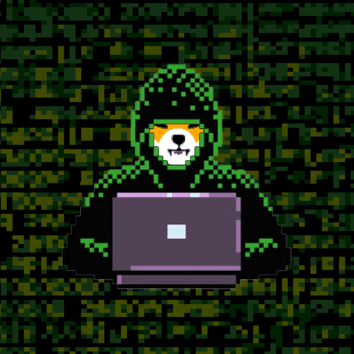 Hacker Shiba