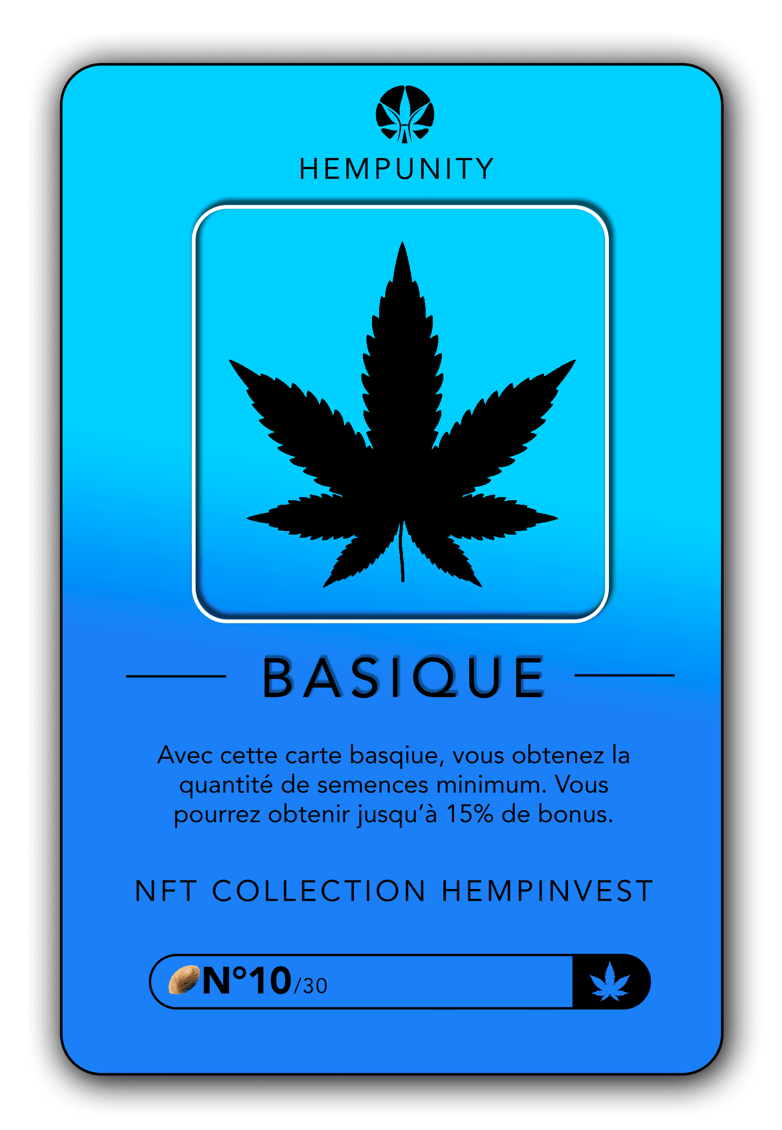 BASIQUE #10