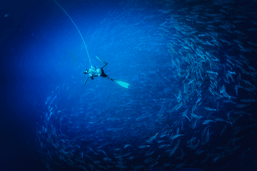 Dive