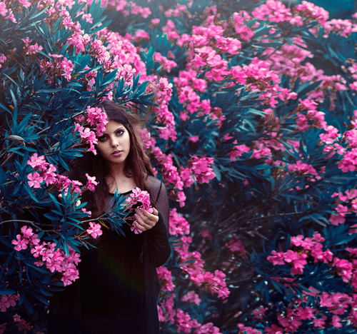 Fine Arts Portraits