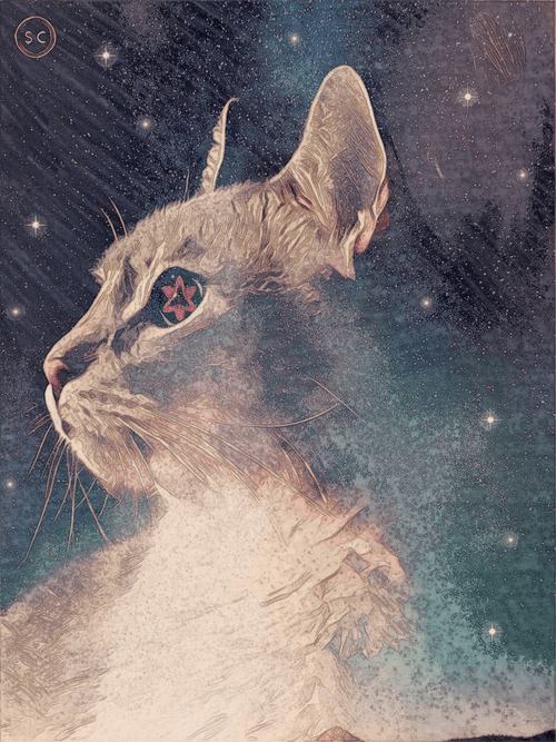SpaceCat#27