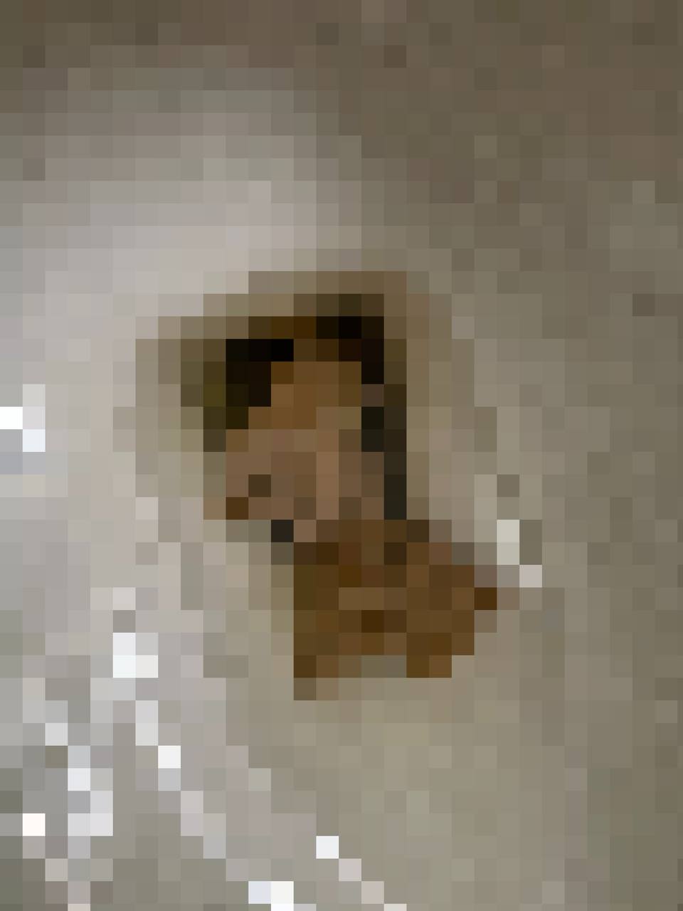 Pixelatedshit #165