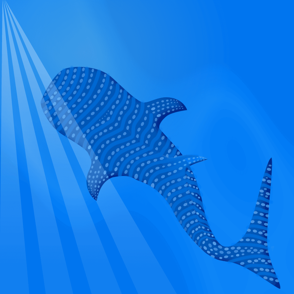 Memories #006 Whale Shark 
