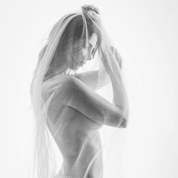 Light & Form collection image