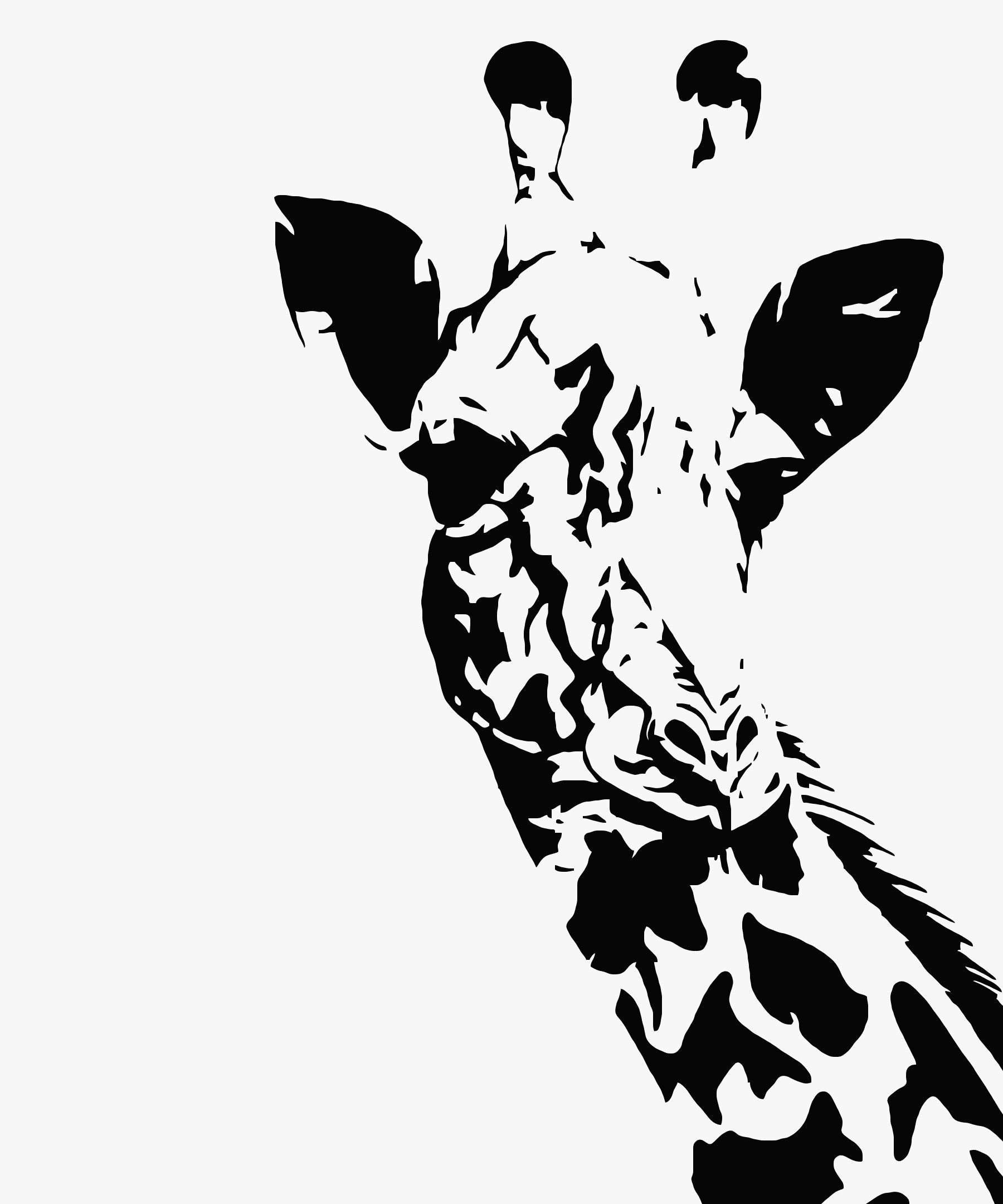 art-and-design-collection-opensea