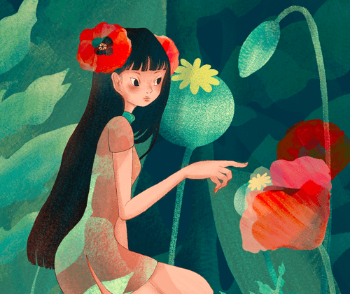 Papaver Rhoeas Girl