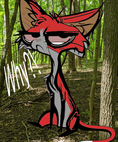 NotLostJustExploring (sparkymatt) Farcaster social identity (Fname handle) PFP