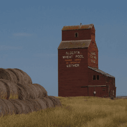 99 Wooden Grain Elevators of Alberta