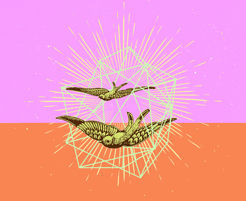 GEOMETRIC BIRDS