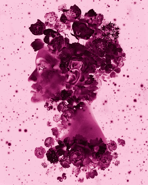 Lavender Dream: Pink