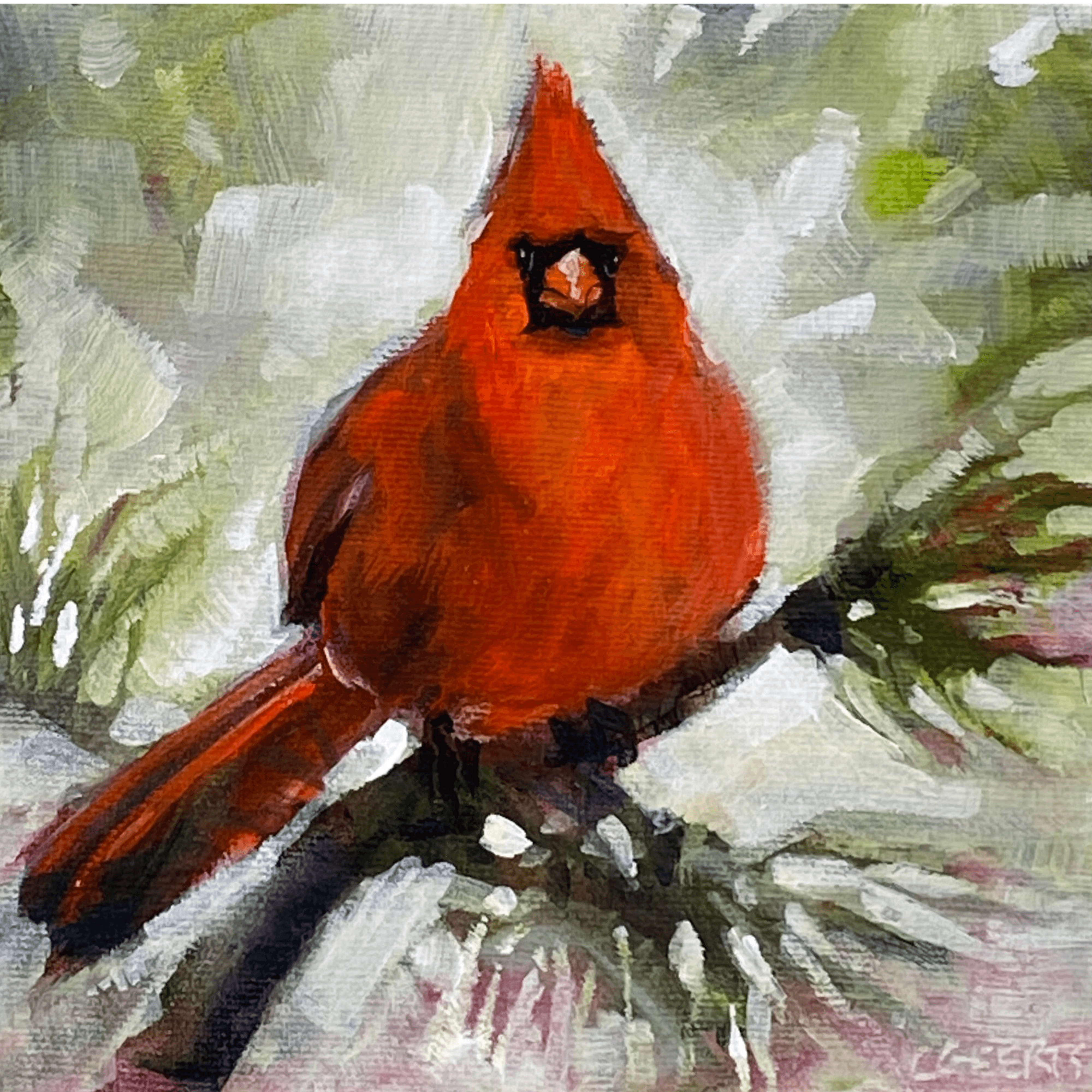 Cardinal - Artist - Connie Geerts