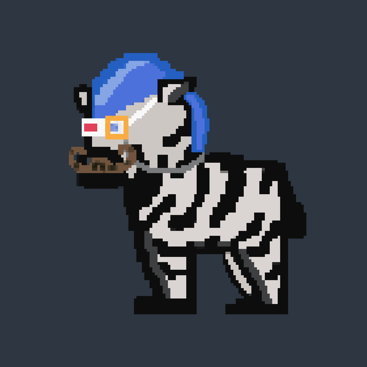 Zebra #4197