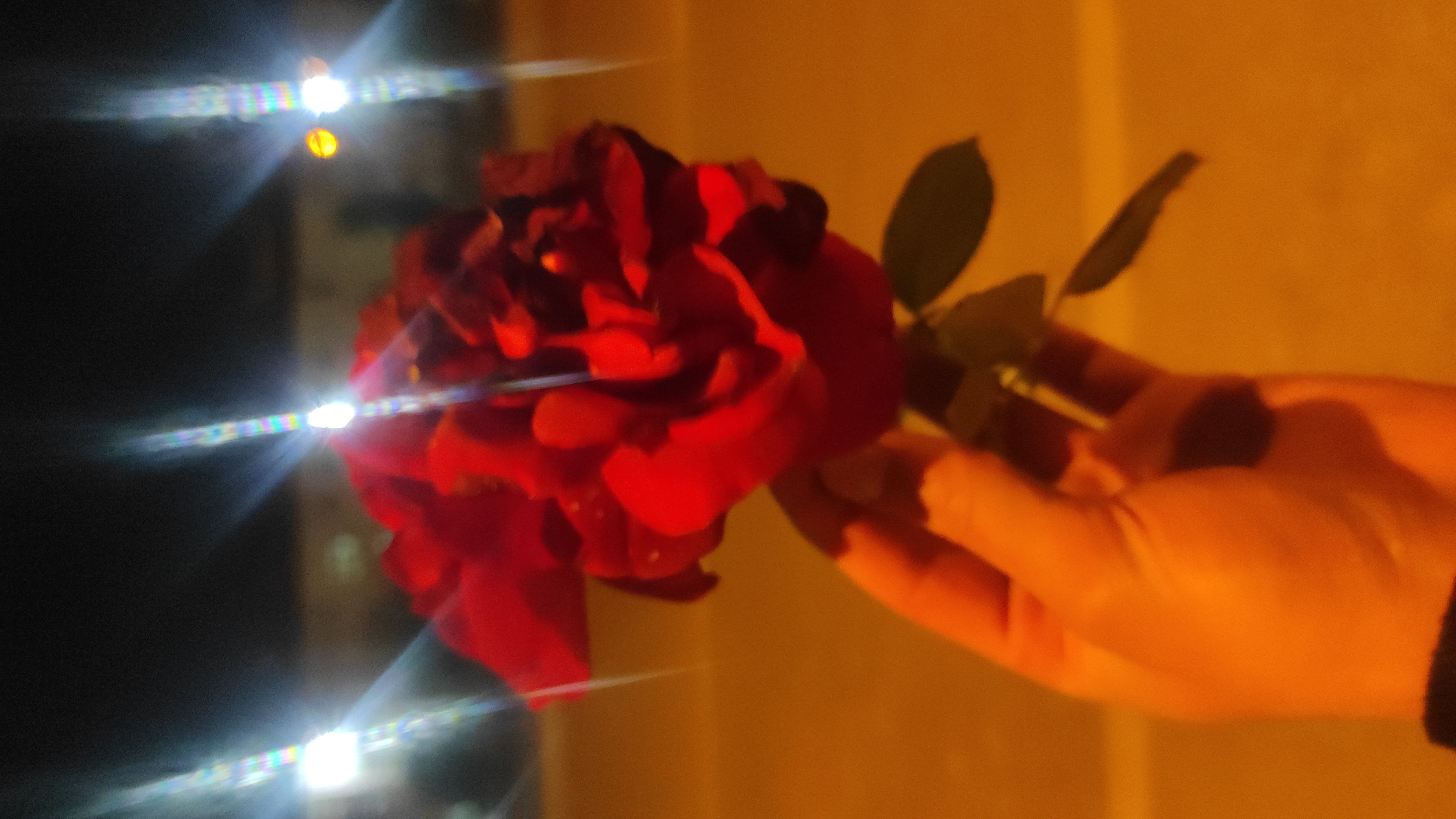 different signatures Collection OpenSea