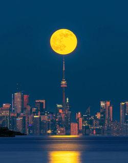 Toronto Moonlight collection image