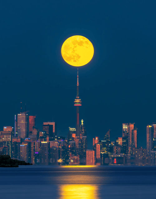 Toronto Moonlight