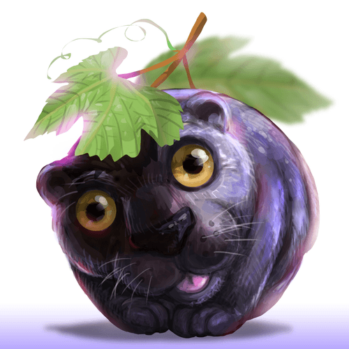 panther grape