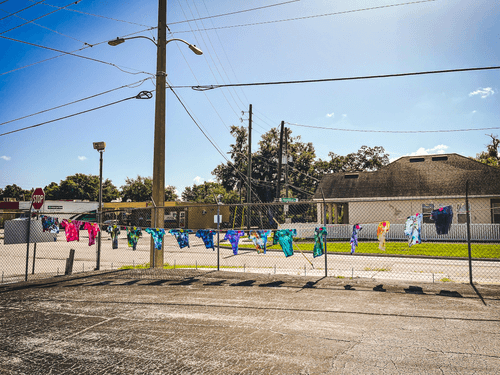 Dlawr: Photo a Day #201