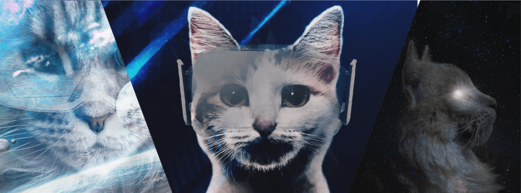 metaverse_cats - Profile | OpenSea