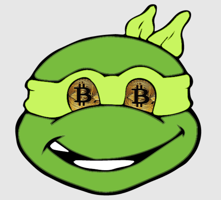 turtle btc