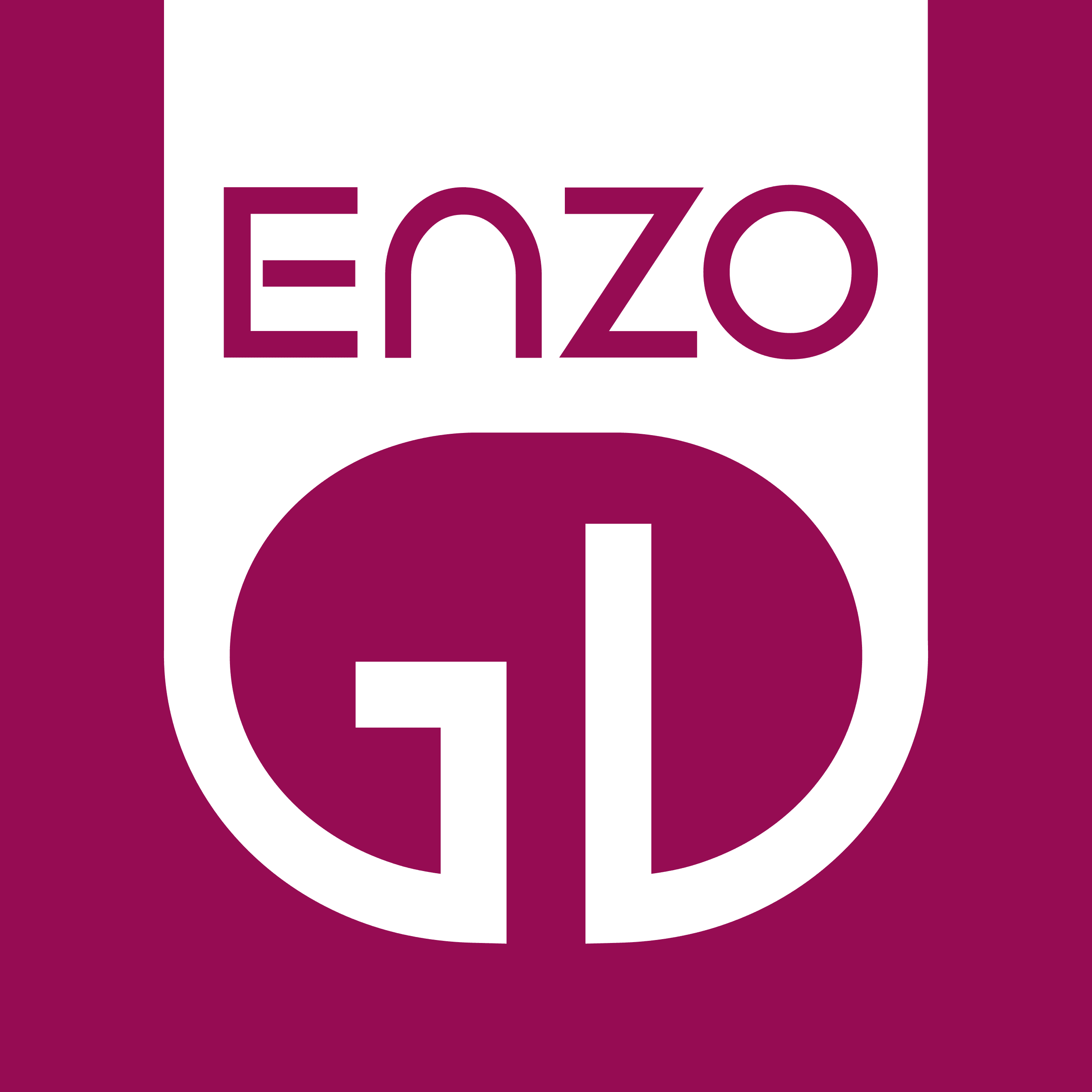 Enzo GD Logo & Signature