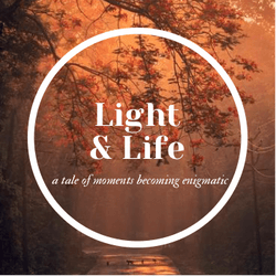 Light & Life collection image