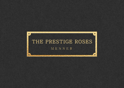 The Prestige Roses Mini Box Collection collection image