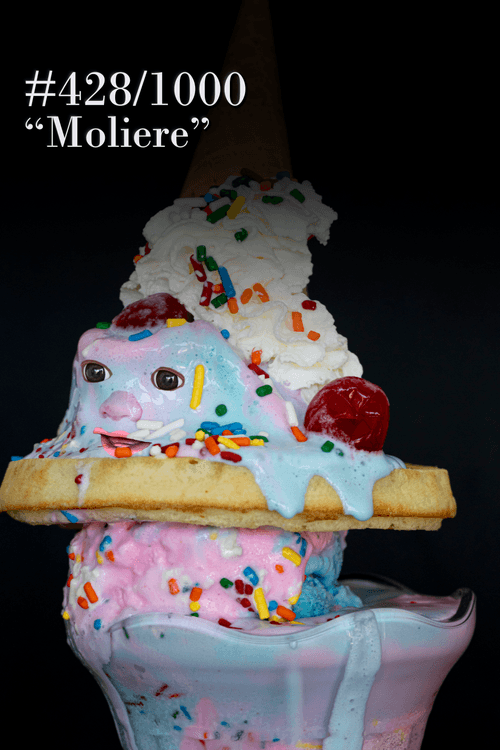 #428 - Moliere