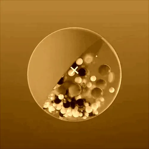 [LIMӀTED EDITӀON] НUGO x ӀO #1235