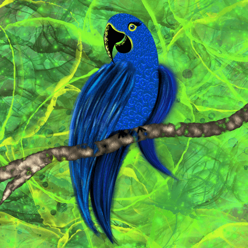 Hyacinth Macaw Parrot