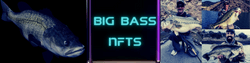 Big Bass NFTs collection image