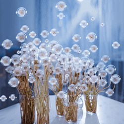 Dandelions by Hobopeeba collection image