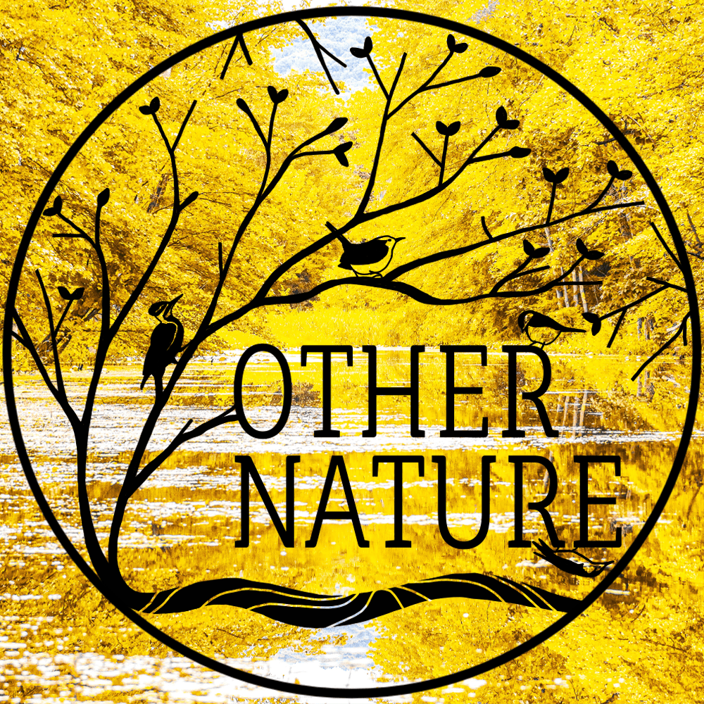 Other Nature