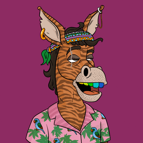 Criminal Donkey 9508