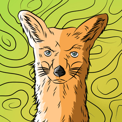 Angry Fox collection image