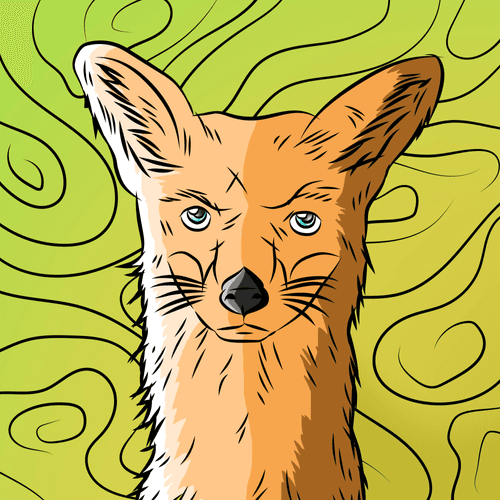 Angry Fox