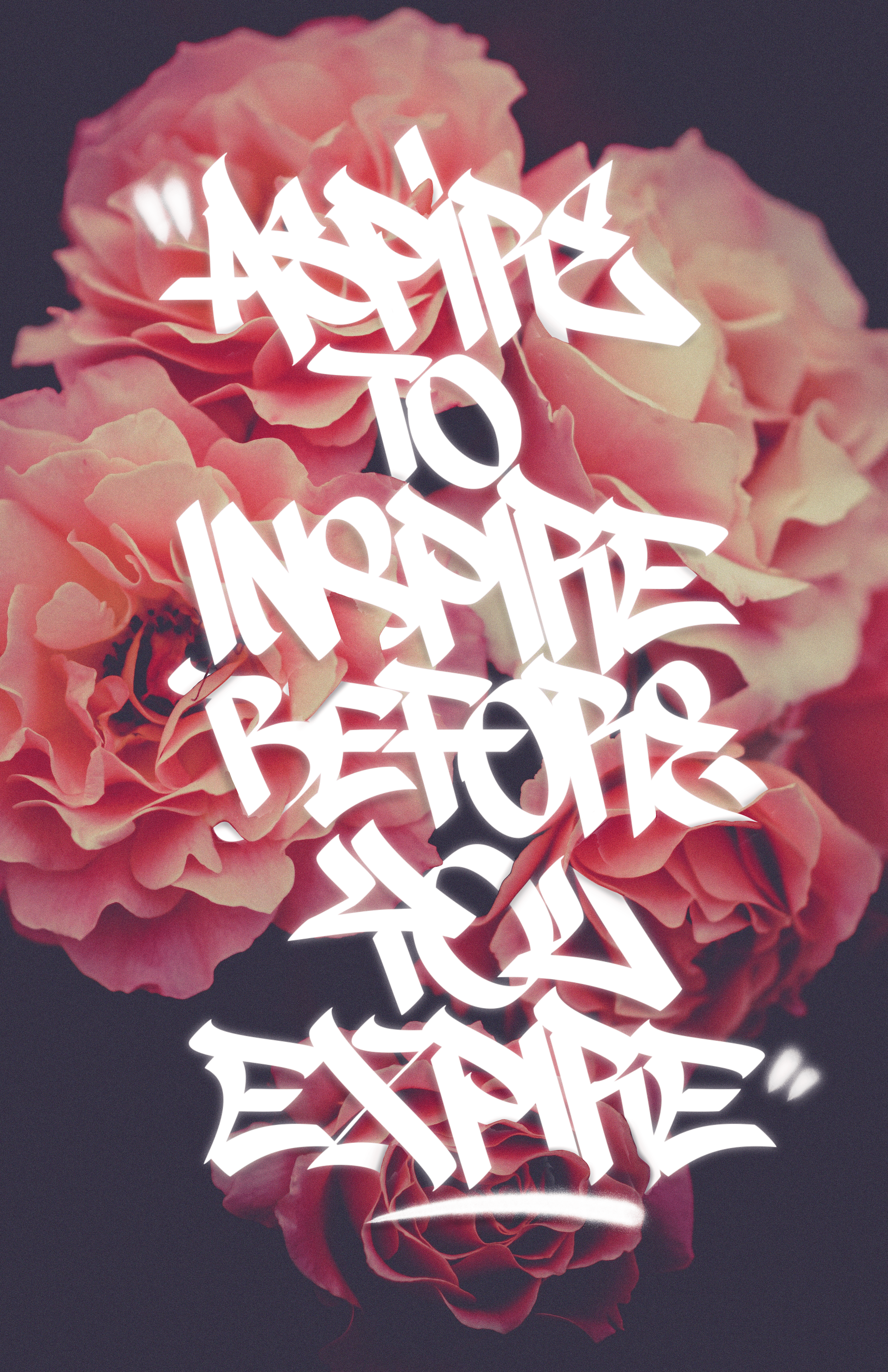 "Aspire To Inspire Before You Expire" (1 of 1)