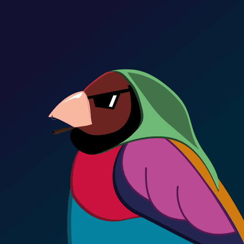 Beardy Birds NFT