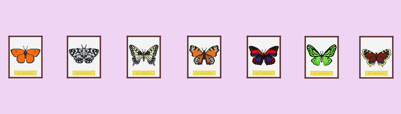 Butterflies Museum