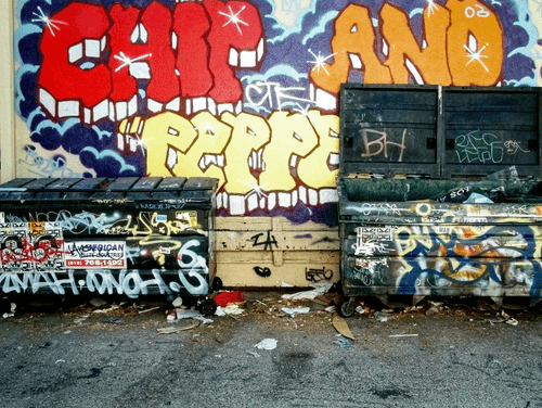 Dumpster Statements #30