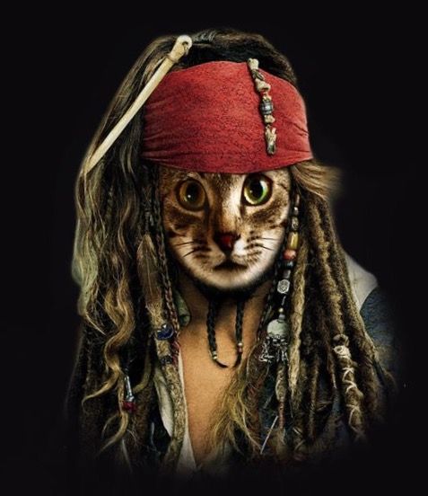 Pirate Catimus Sparkvrow
