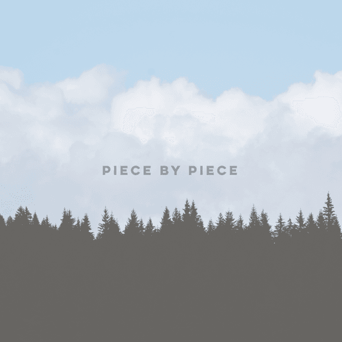 Piece by Piece - Ricardo Braz