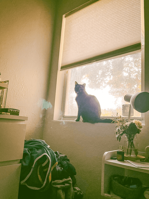 Dlawr: Photo a Day #321