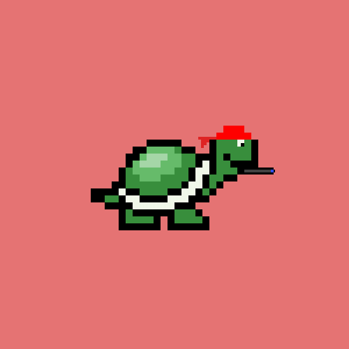 Turtle #303