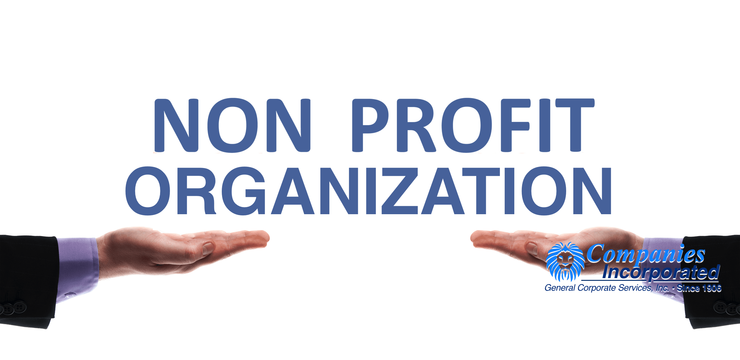 non-profit-organization 배너