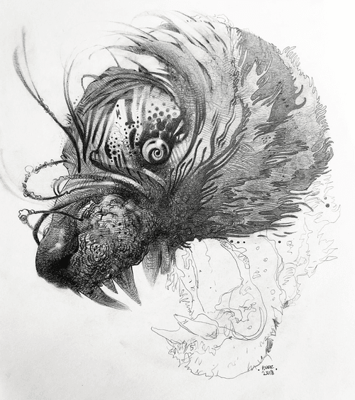 Chimeras of the Mind