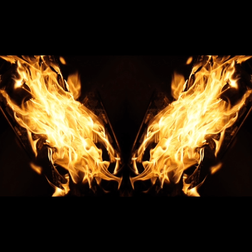 Phoenix #023