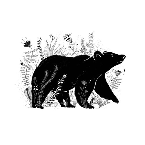 The Bear 