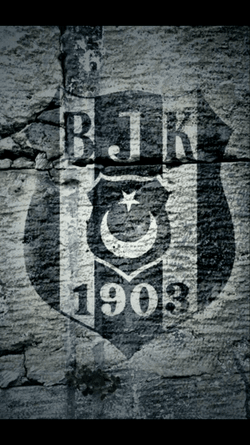 BJK 118 collection image