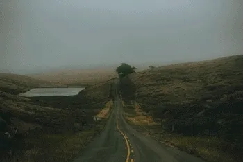 Behind The Windshield