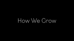 How We Grow collection image
